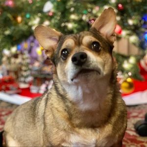 Meet your Posher, Mario